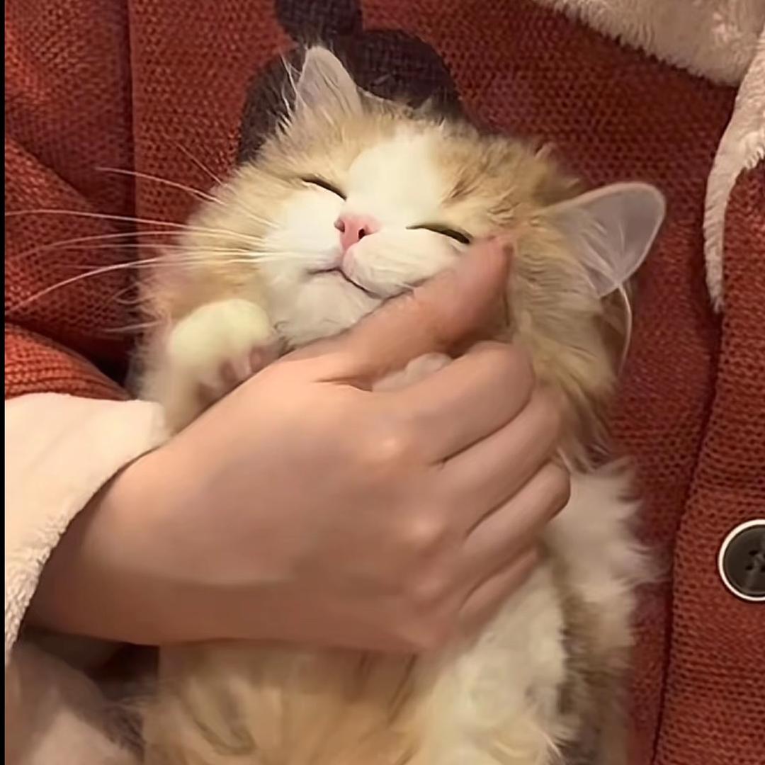 理智