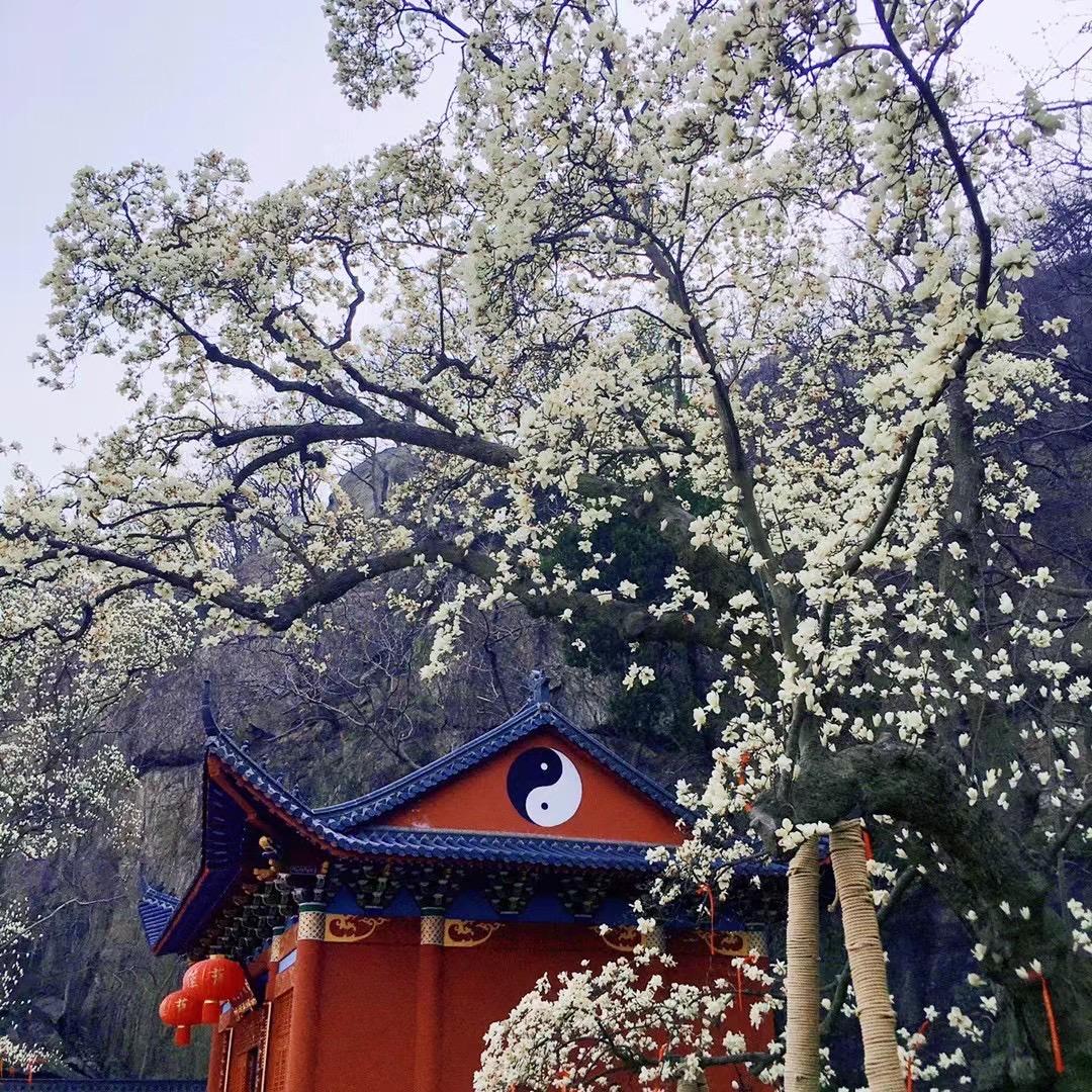 嗣清师兄