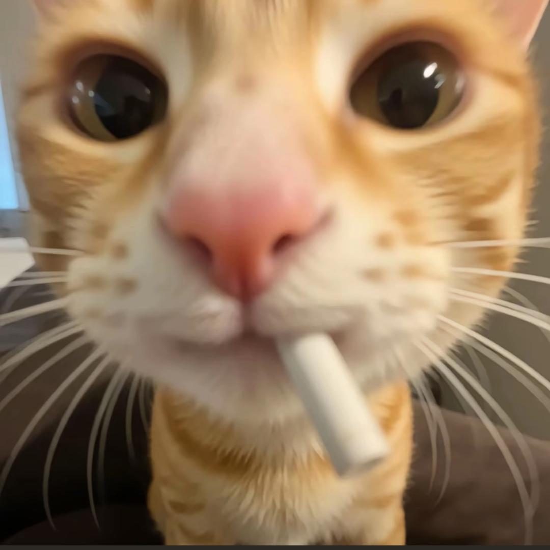偷前夫哥凶兆给现任穿上