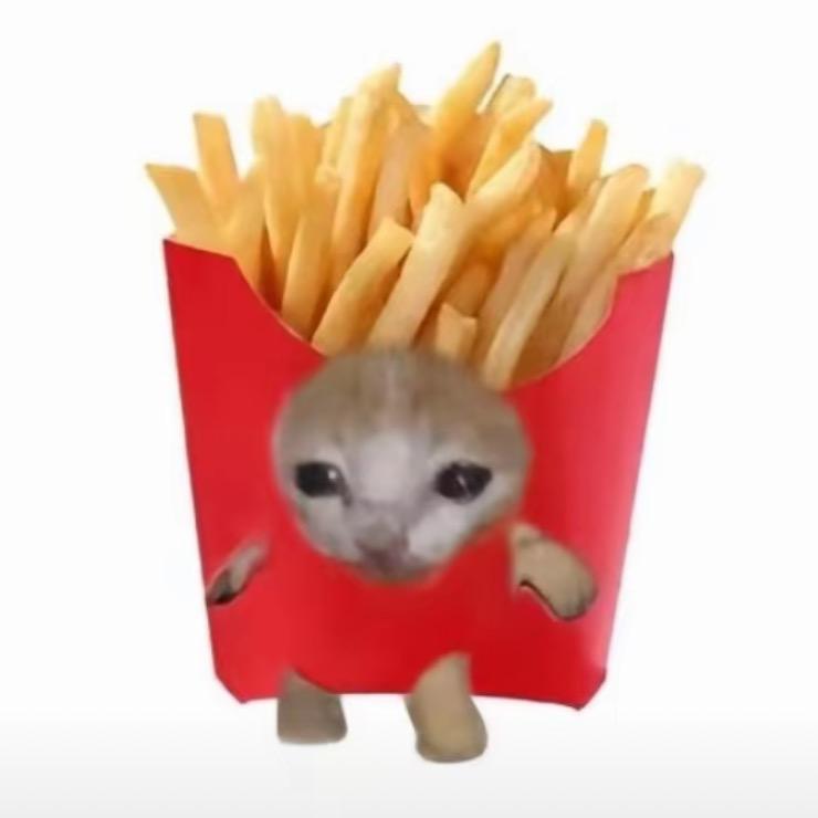 sky.薯条🍟（请假中）