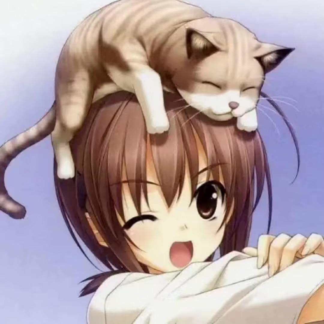 诗世