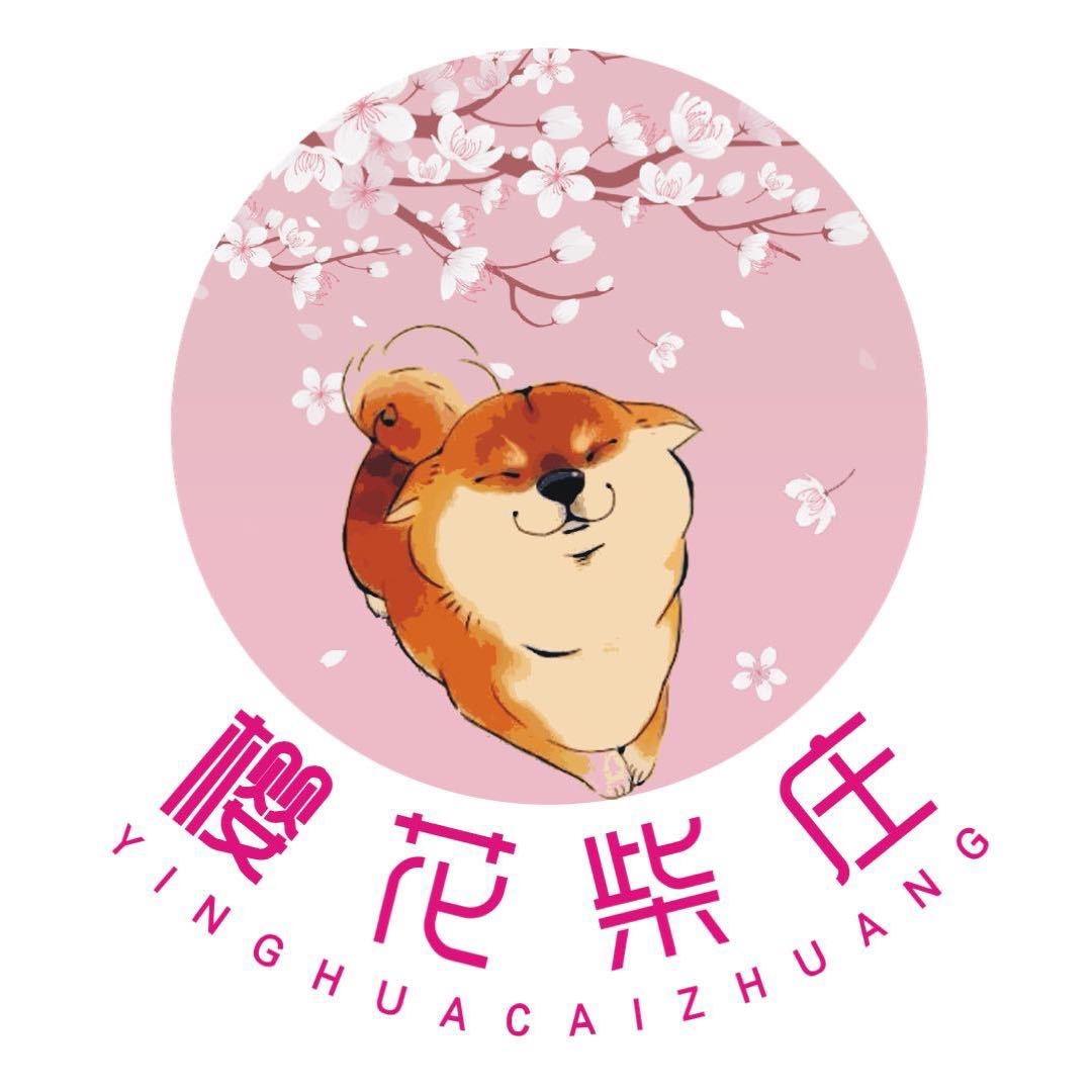 樱花柴犬豆柴庄