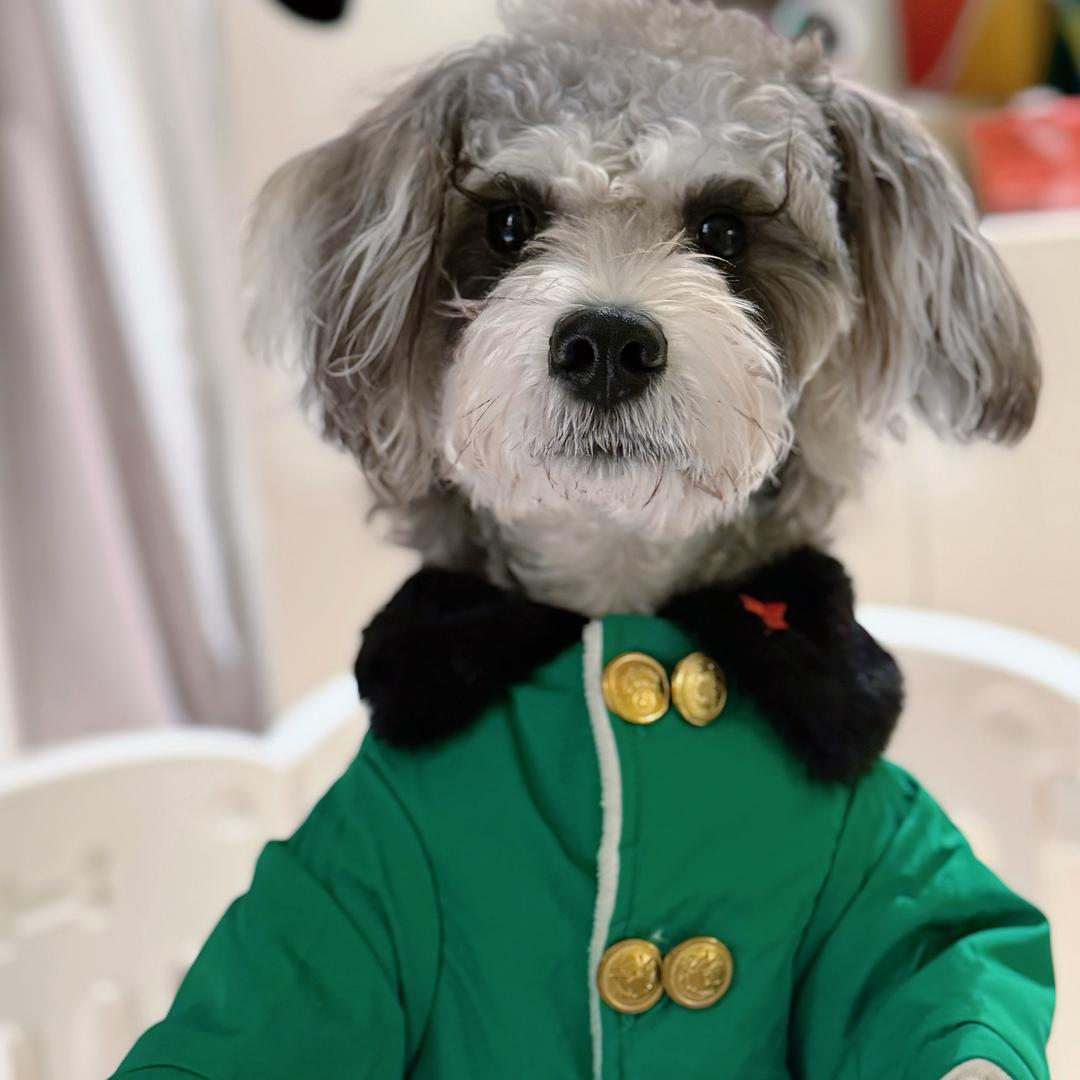 土豆和毛豆的日常