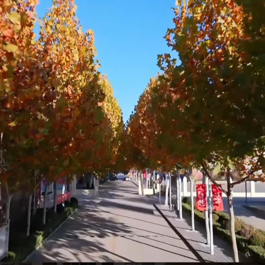 郑州城轨交通学校—化老师