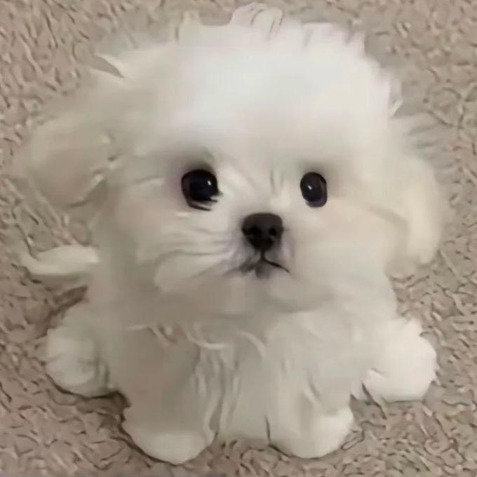 偶是随的修勾勾