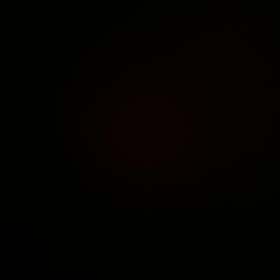 白捡
