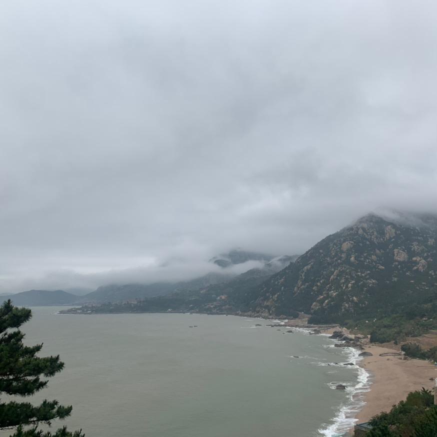 青岛涛哥