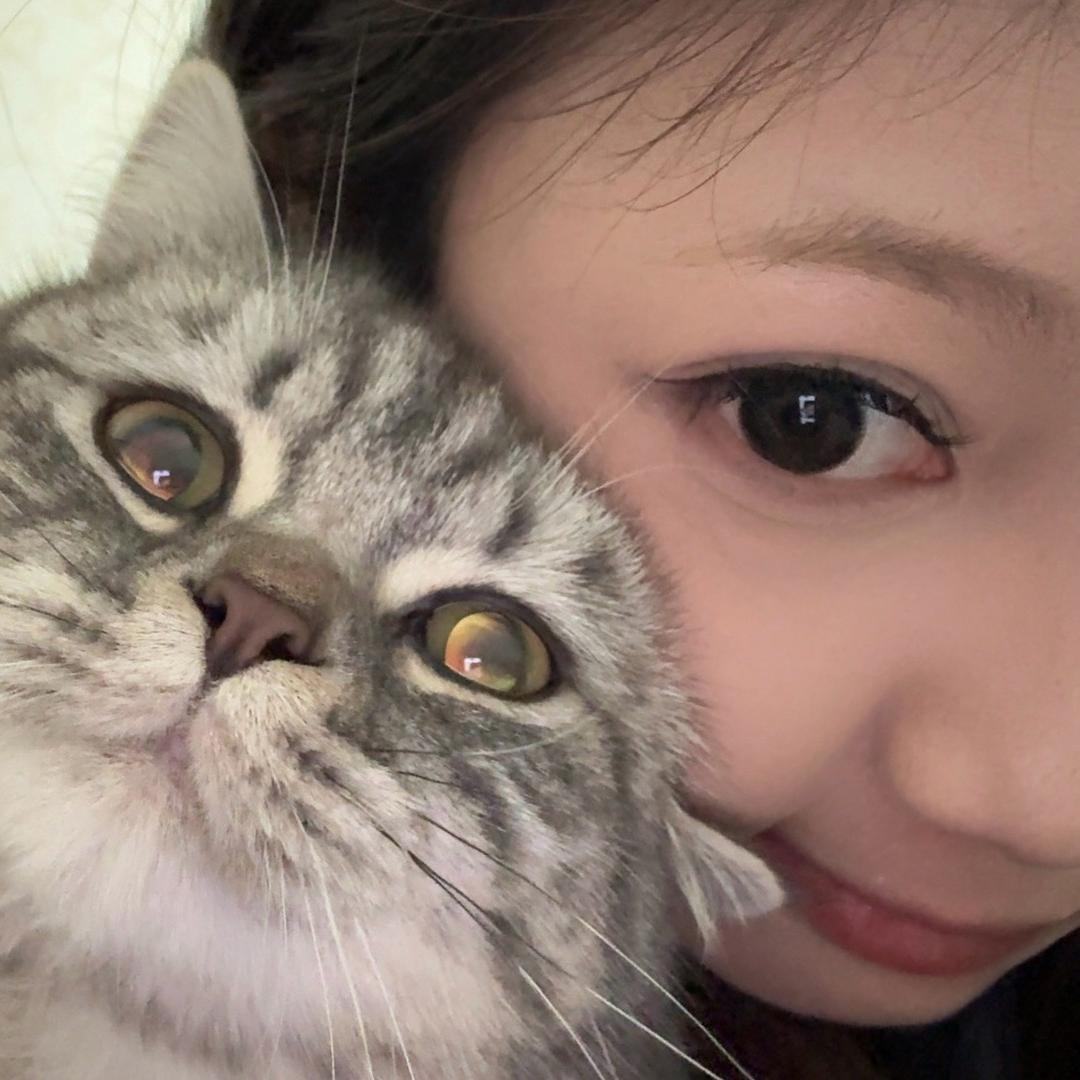 追逐..
