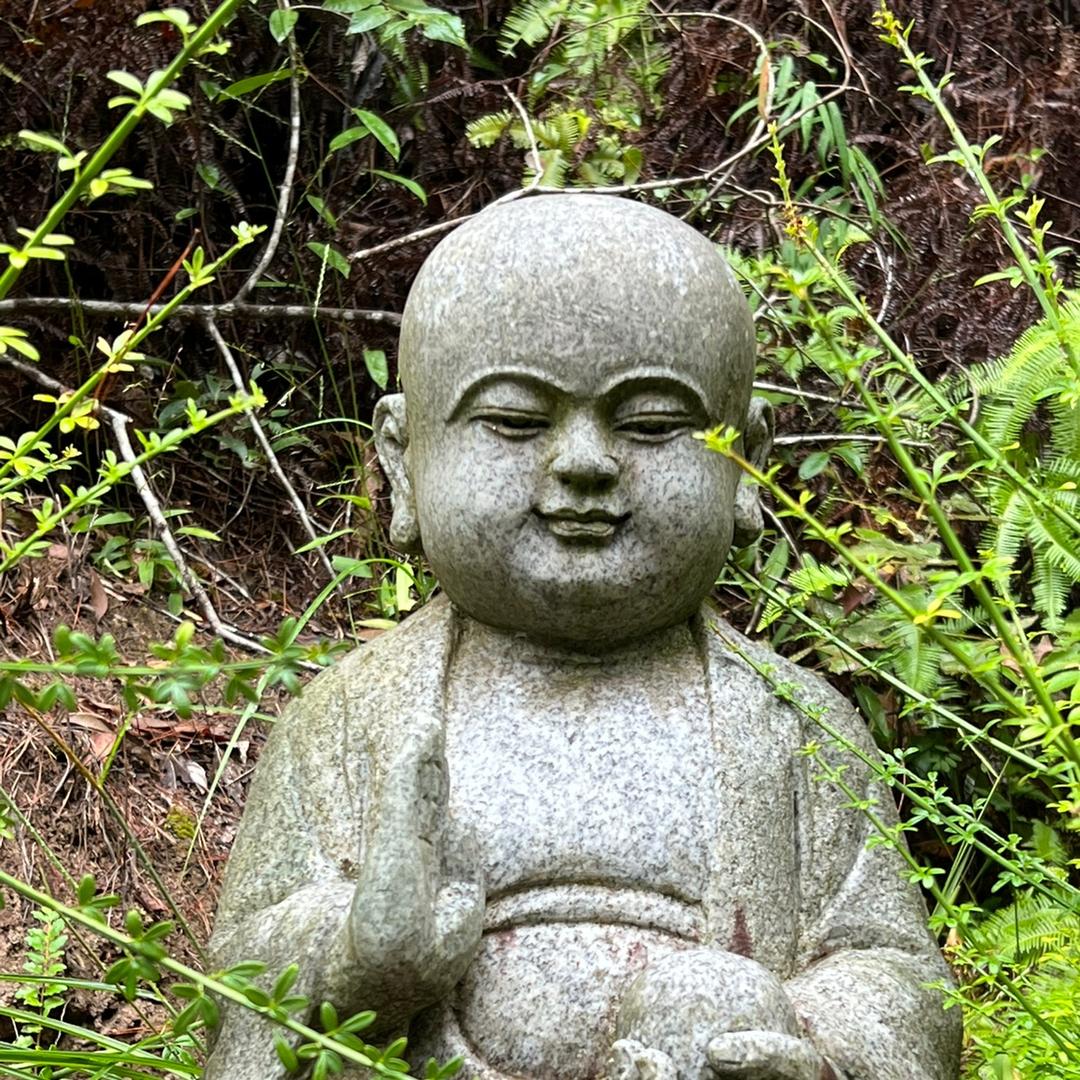子环
