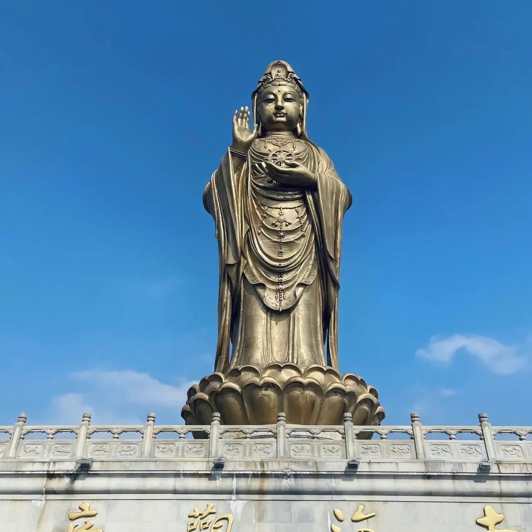 心止道生