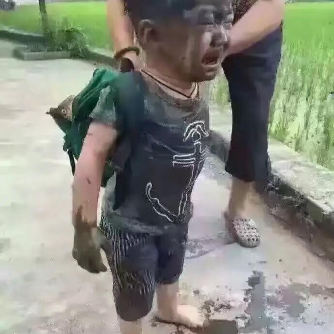 用户