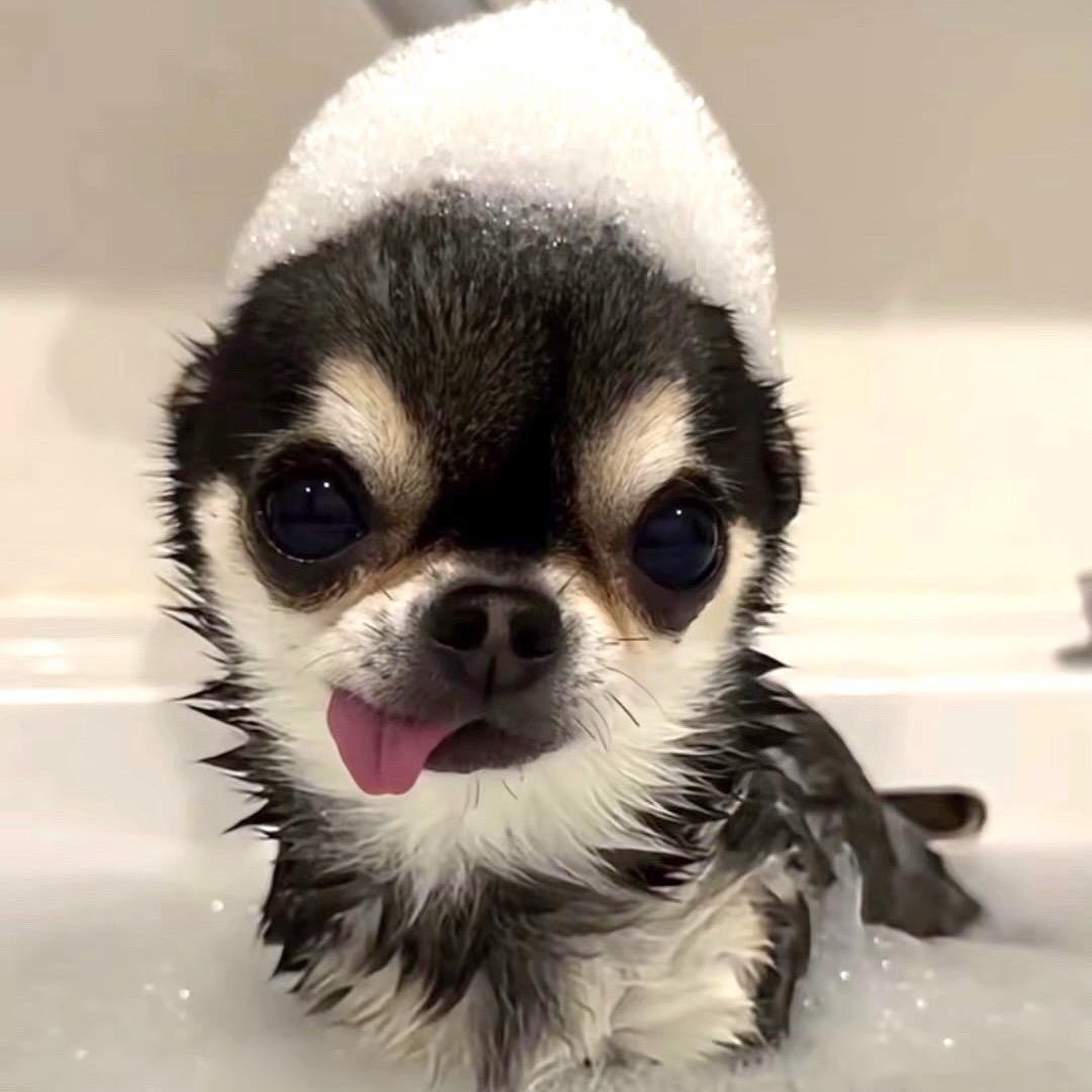 午夜忧郁纯情总裁