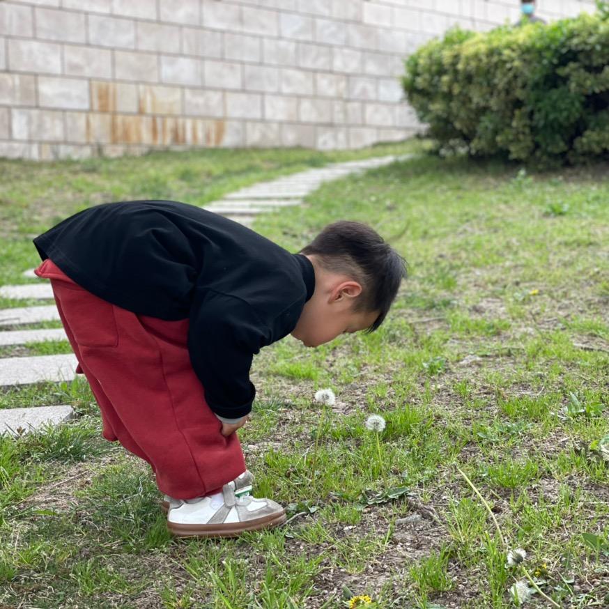 让土豆变成乐事🥔