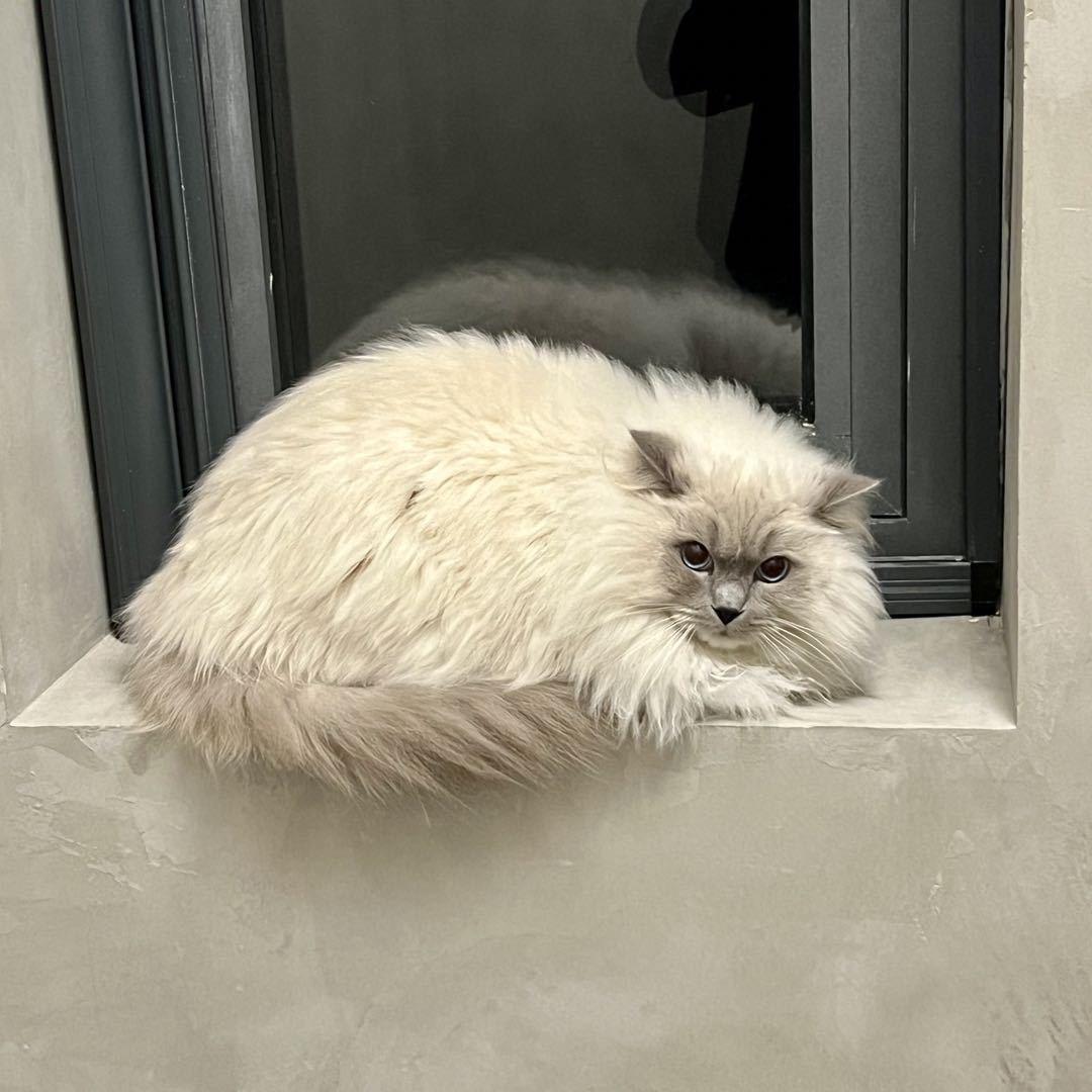 pprrr