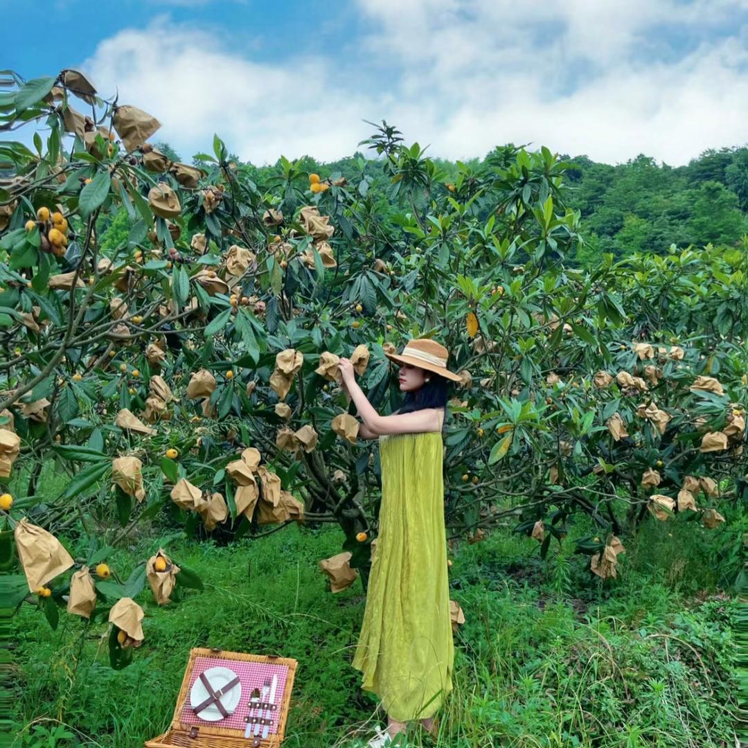甄食惠好物优选四季鲜美的头像