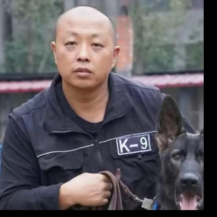 恶霸犬皮皮
