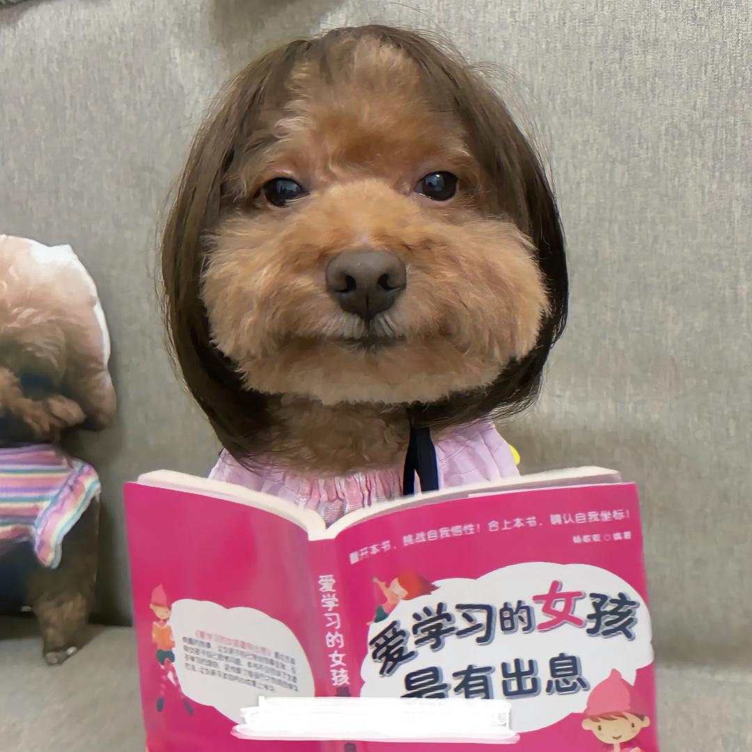 Nina-www