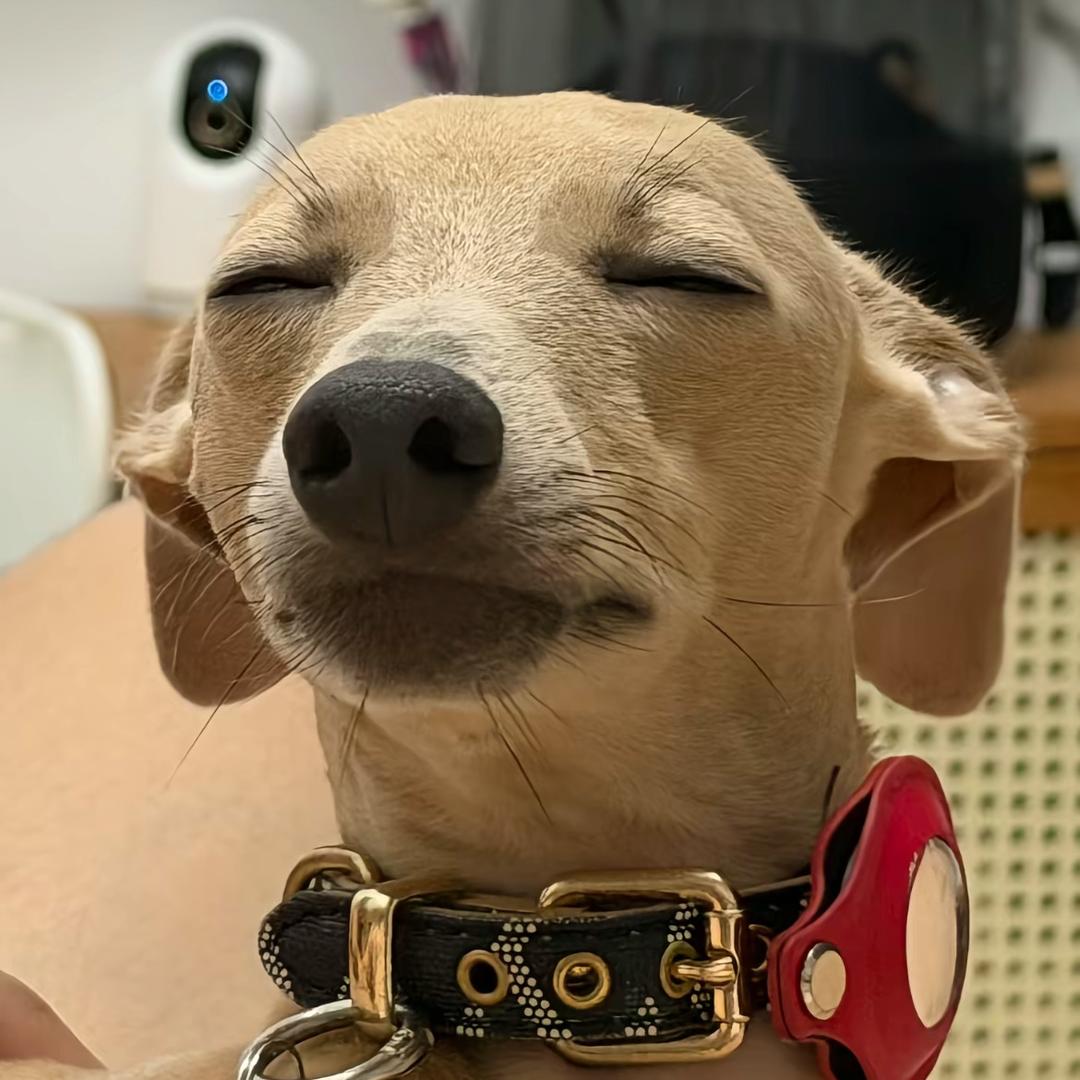御坂妹ovo