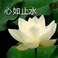 L.H.