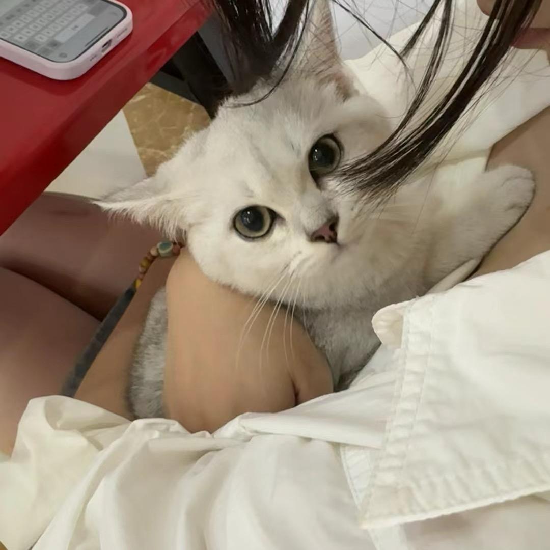 罐装旺仔.