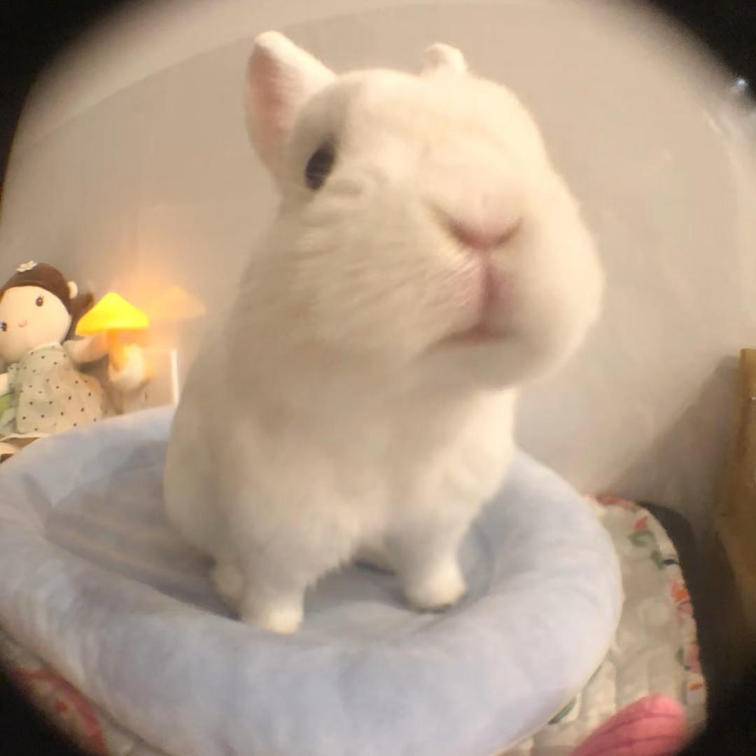 八柒.