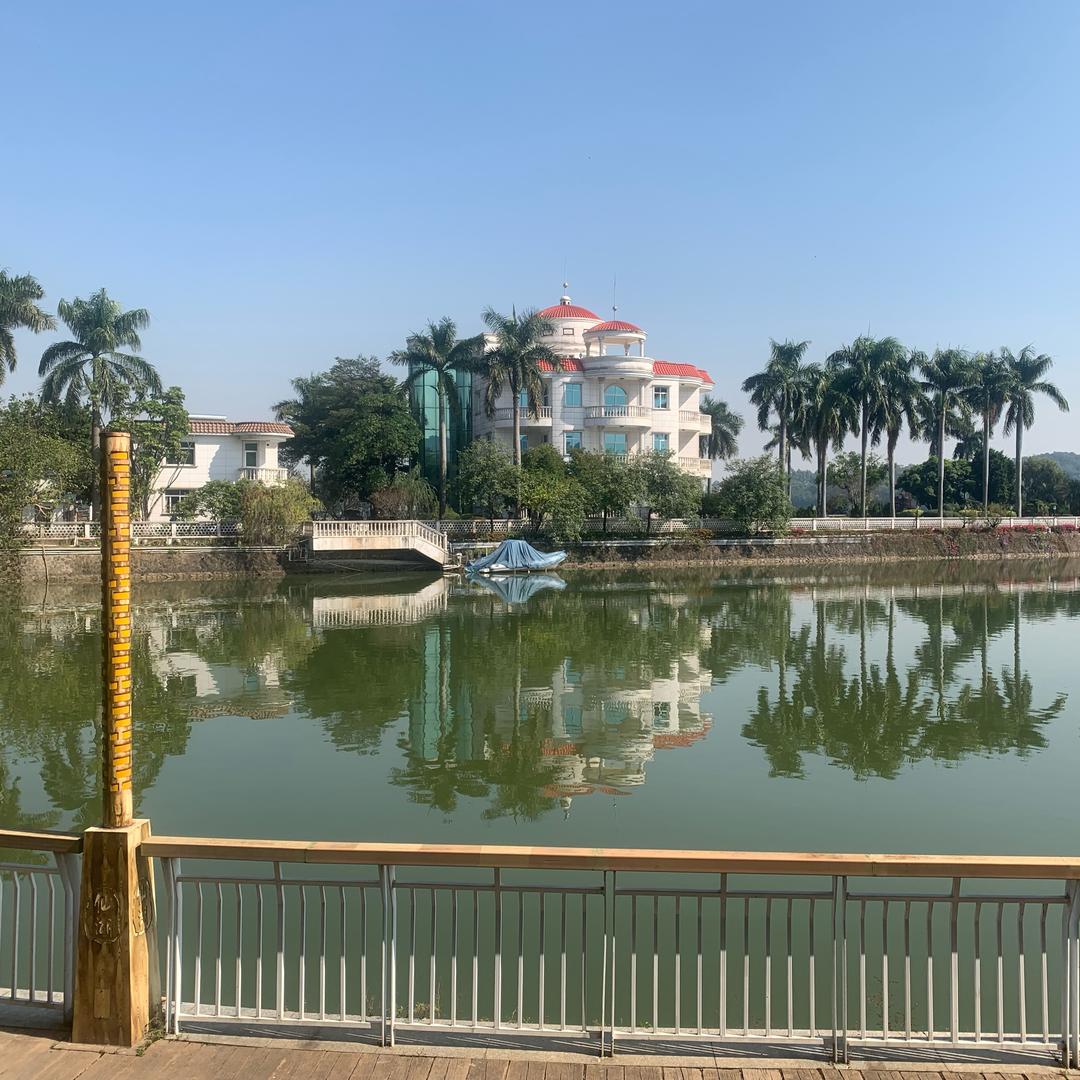 🍎ωo佛瓷杯🍎