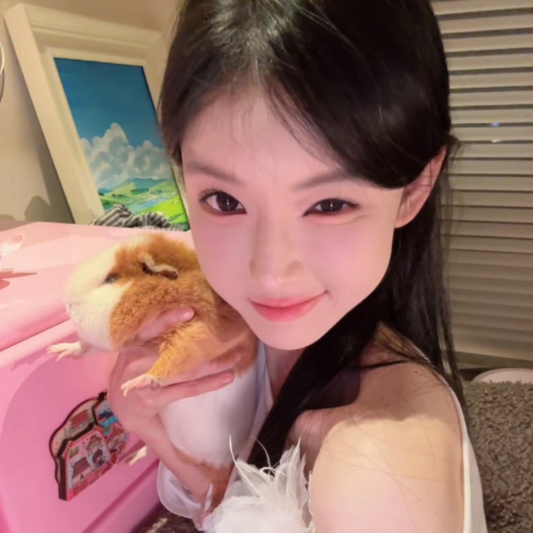 阿波罗小美人