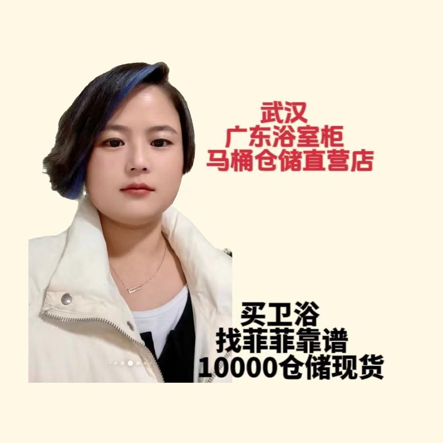 武汉浴室马桶工厂飞飞