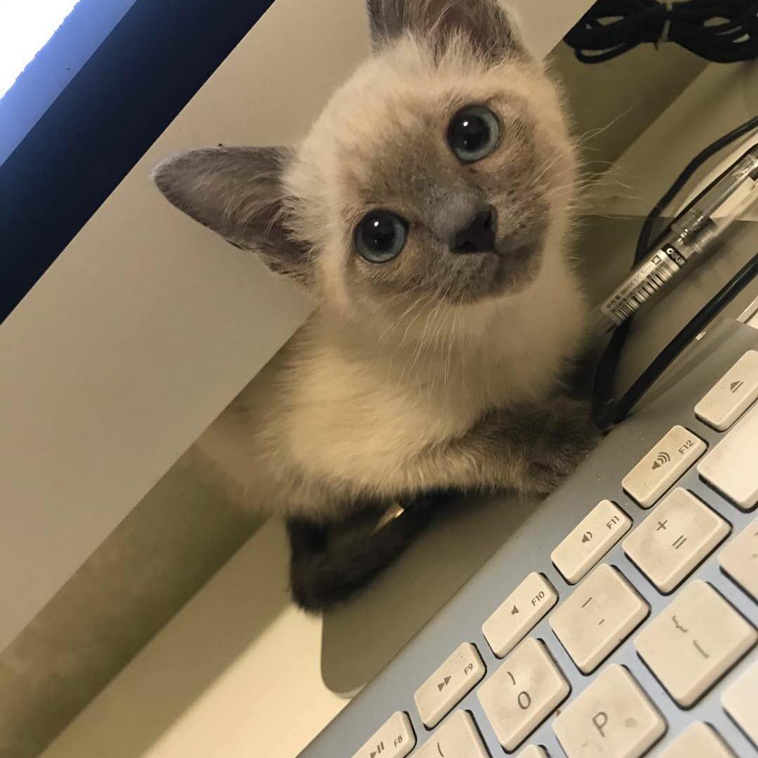 云……依旧