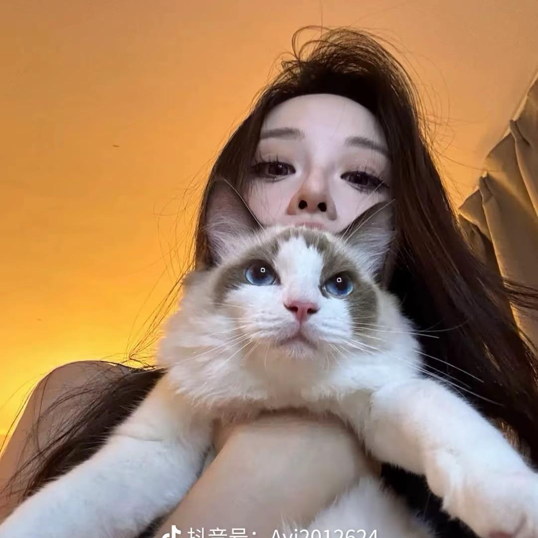 ㅤㅤㅤㅤㅤㅤㅤ盼盼