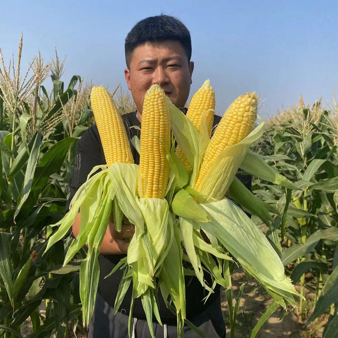 张兴华灬