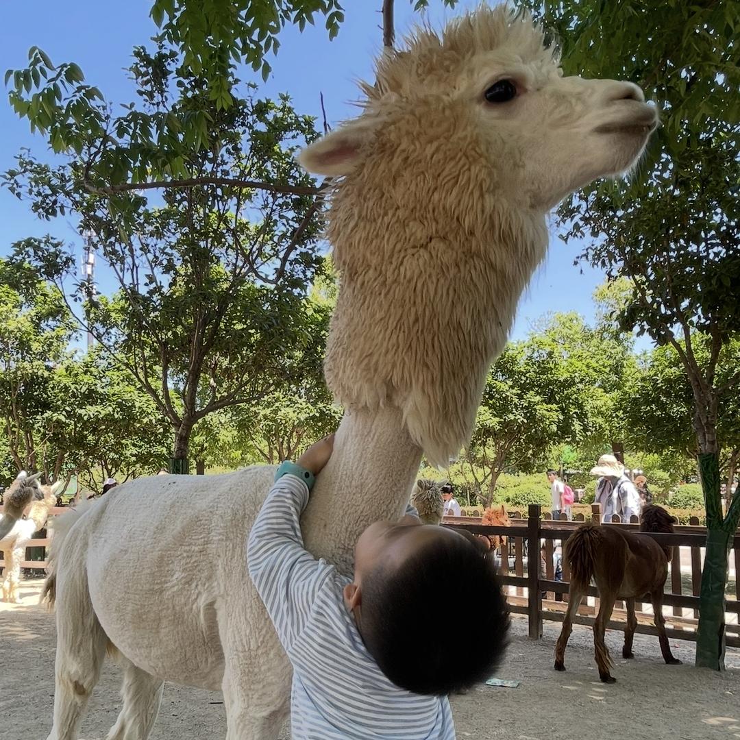 迪迪精选玩具铺子