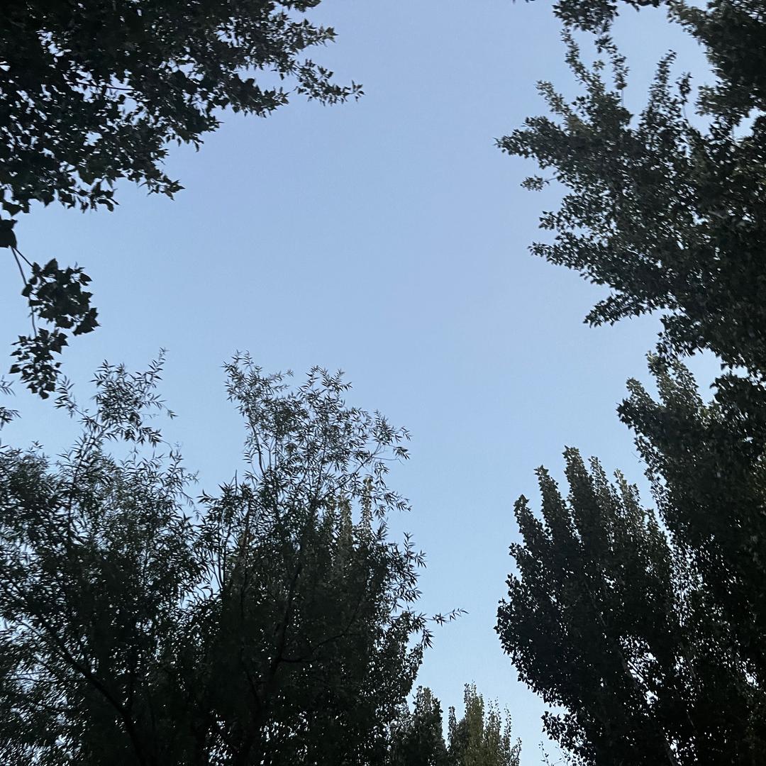 ℒᎭℯ磊💞哥⁵₁²҈