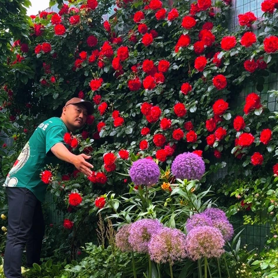小贾爱养花