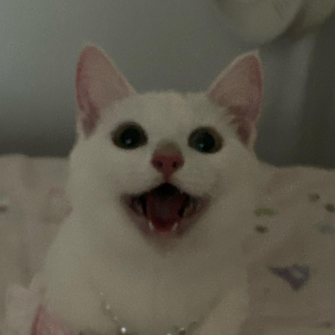 金鱼