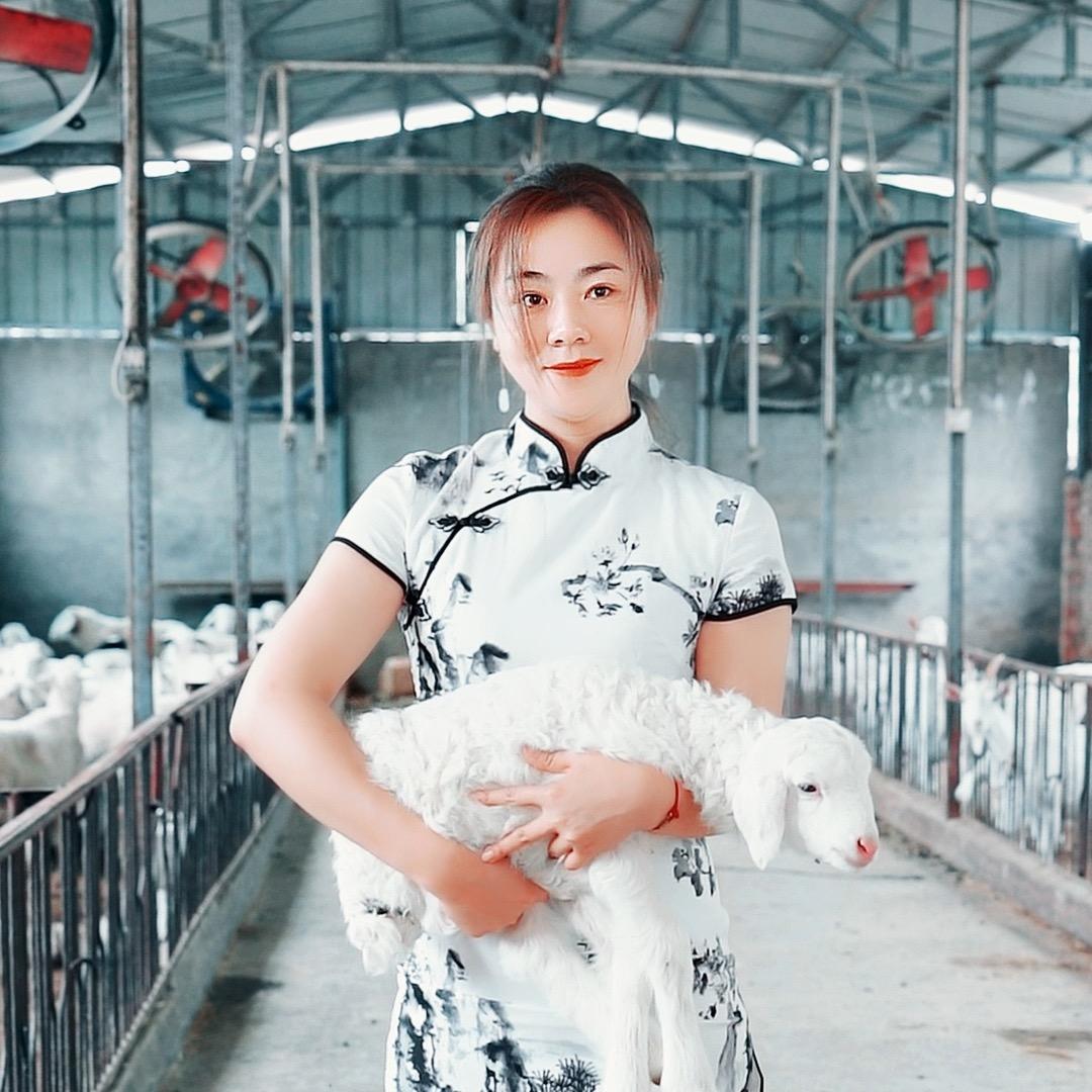 清真老白家