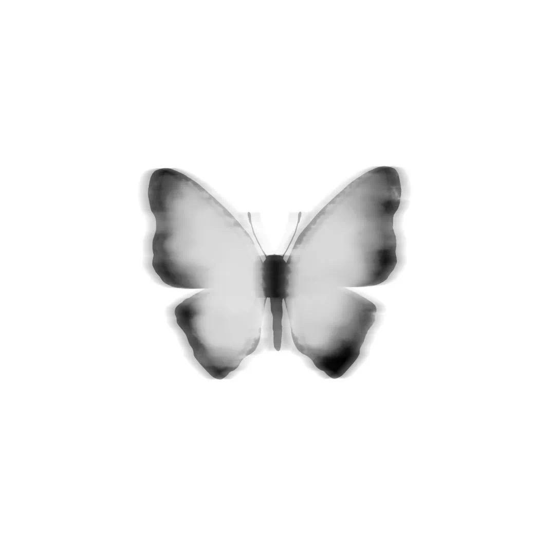 butterfly boy🦋