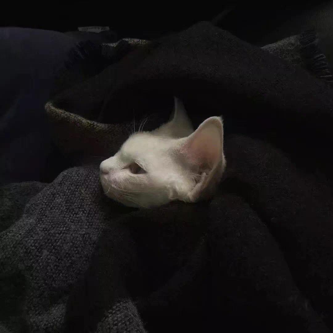小價