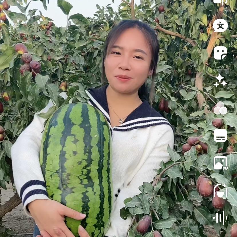 新疆蒙蒙家红枣（农产品）