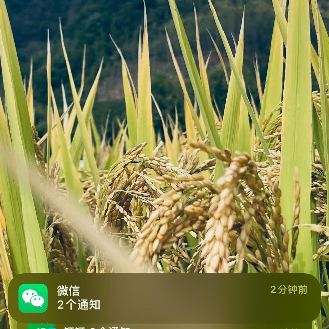 社会边角料.姚一摇