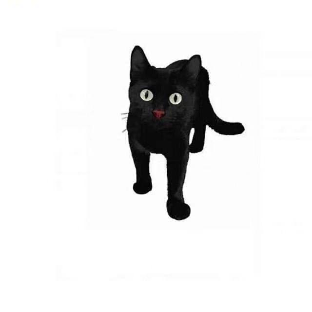 阿刁（三角洲行动）