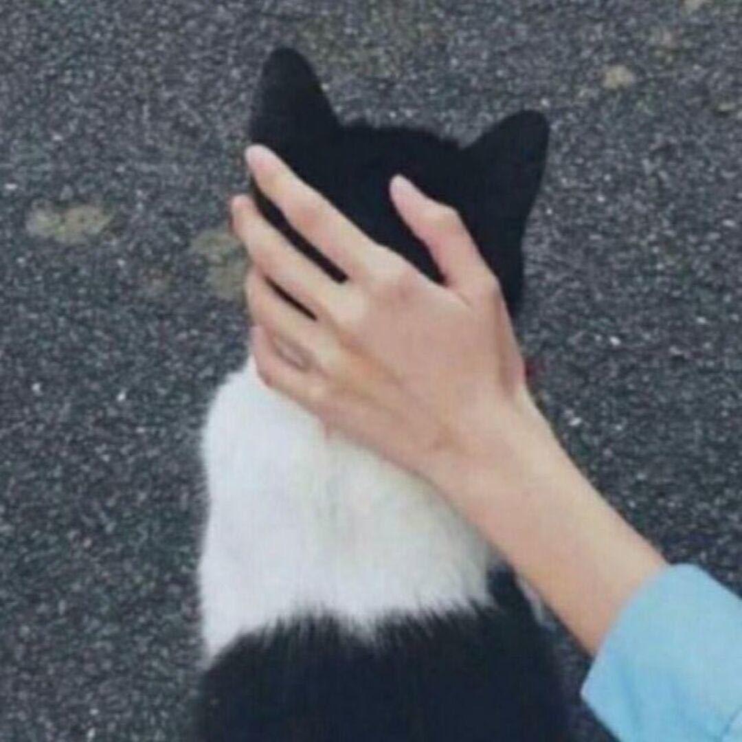 D.