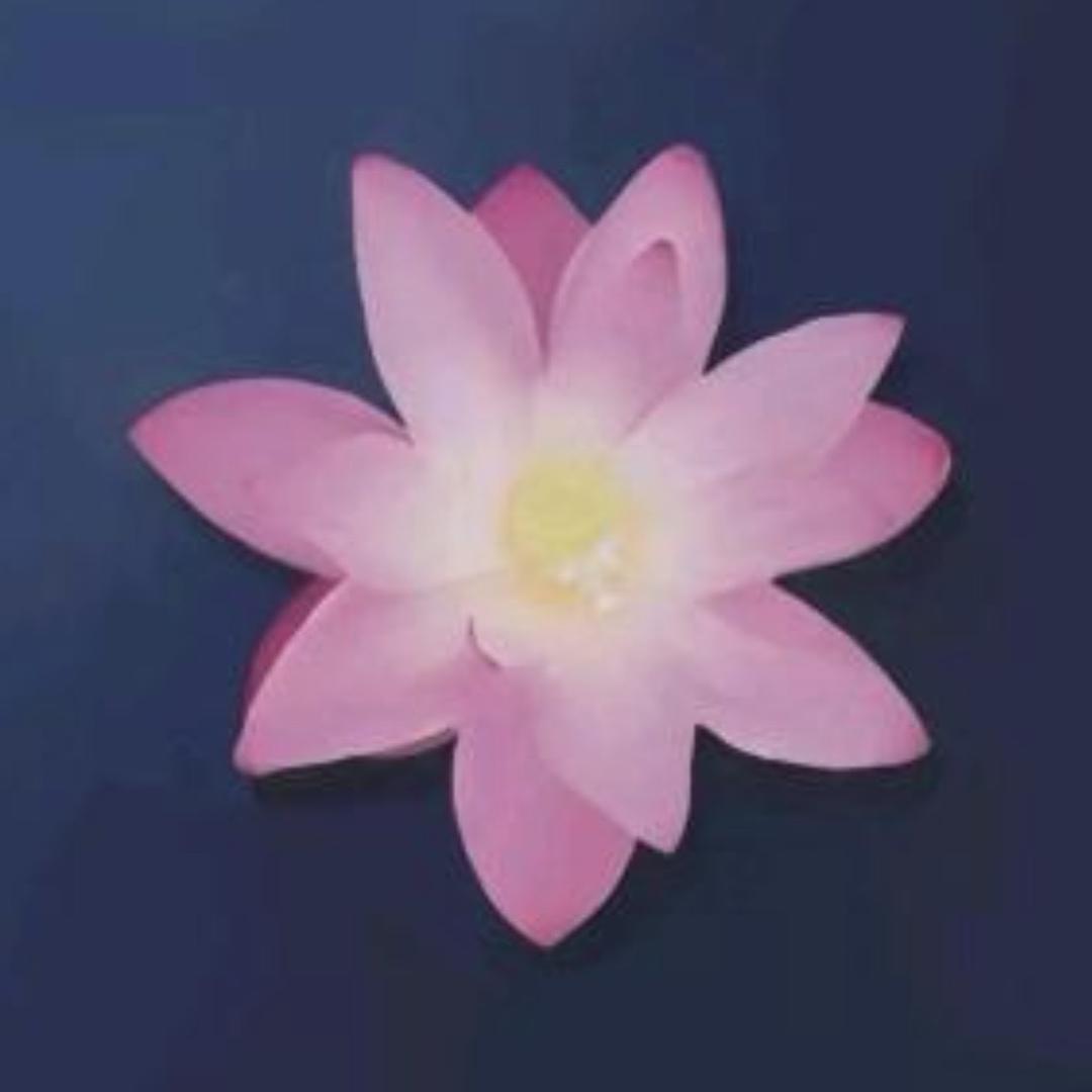 孜然大摩尔