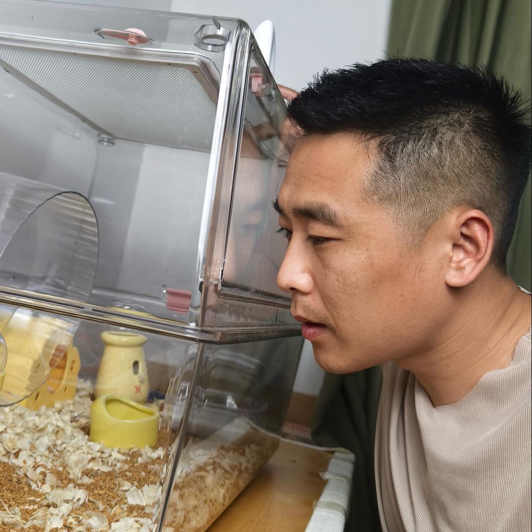 养仓鼠的狼叔(仓鼠食粮甄选推荐）