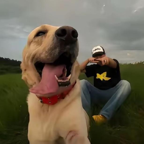 ……………………..