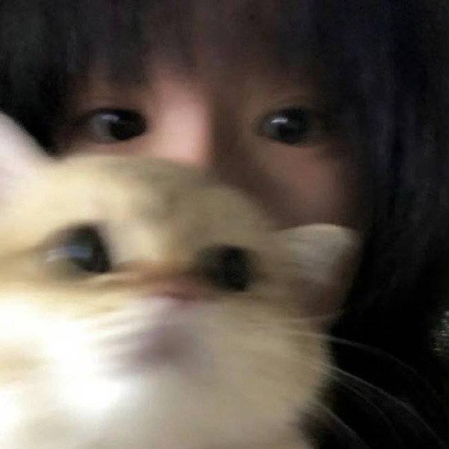 别动我家坨坨.