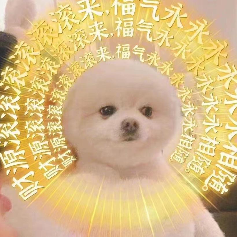 小圆剪辑