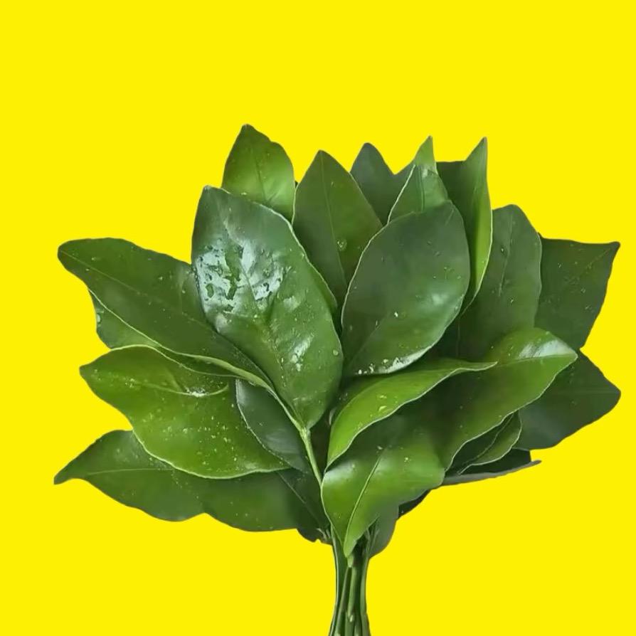 @财神爷眷顾的宝贝💋