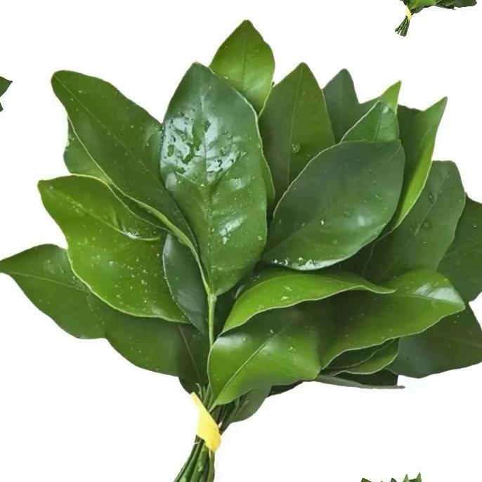 ⁻想着我⁸ 🇨🇳