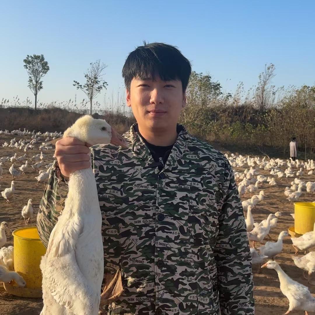 大宏-养鹅